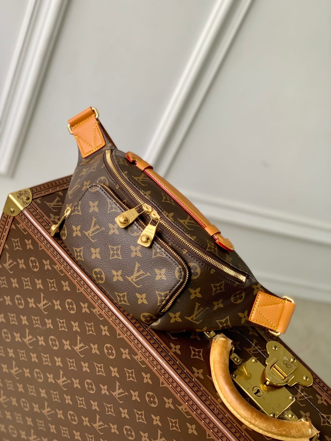 Rush Bumbag detail 1
