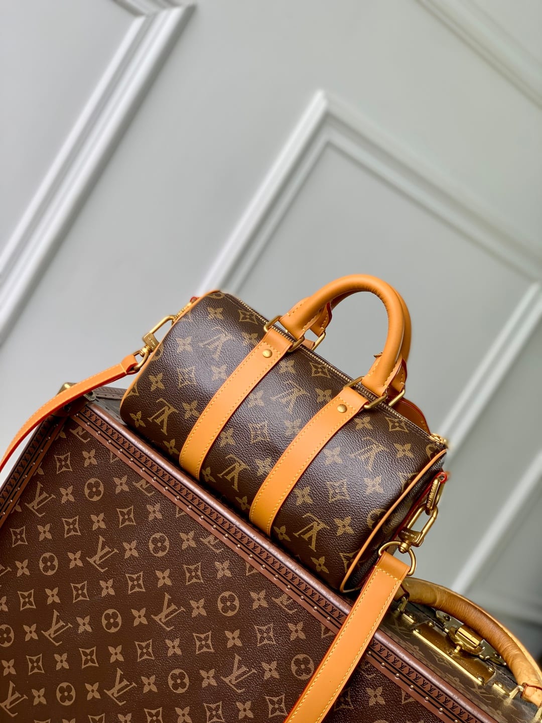 Keepall 25 Cargo detail 3