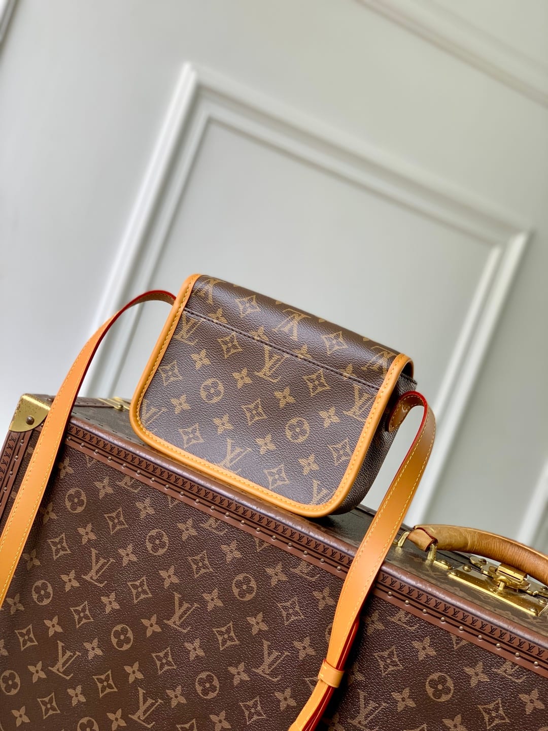 Satchel Wearable Wallet detail 2