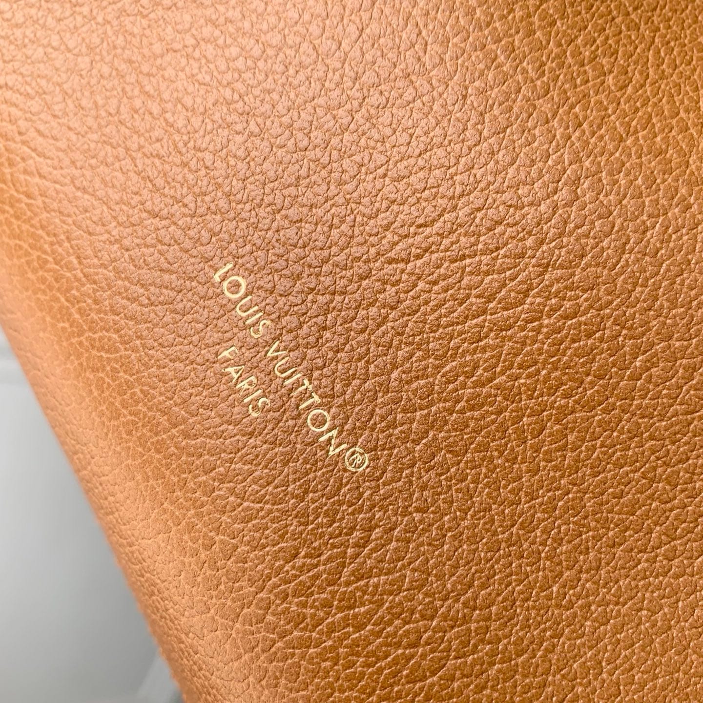 Noé Trunk detail 5