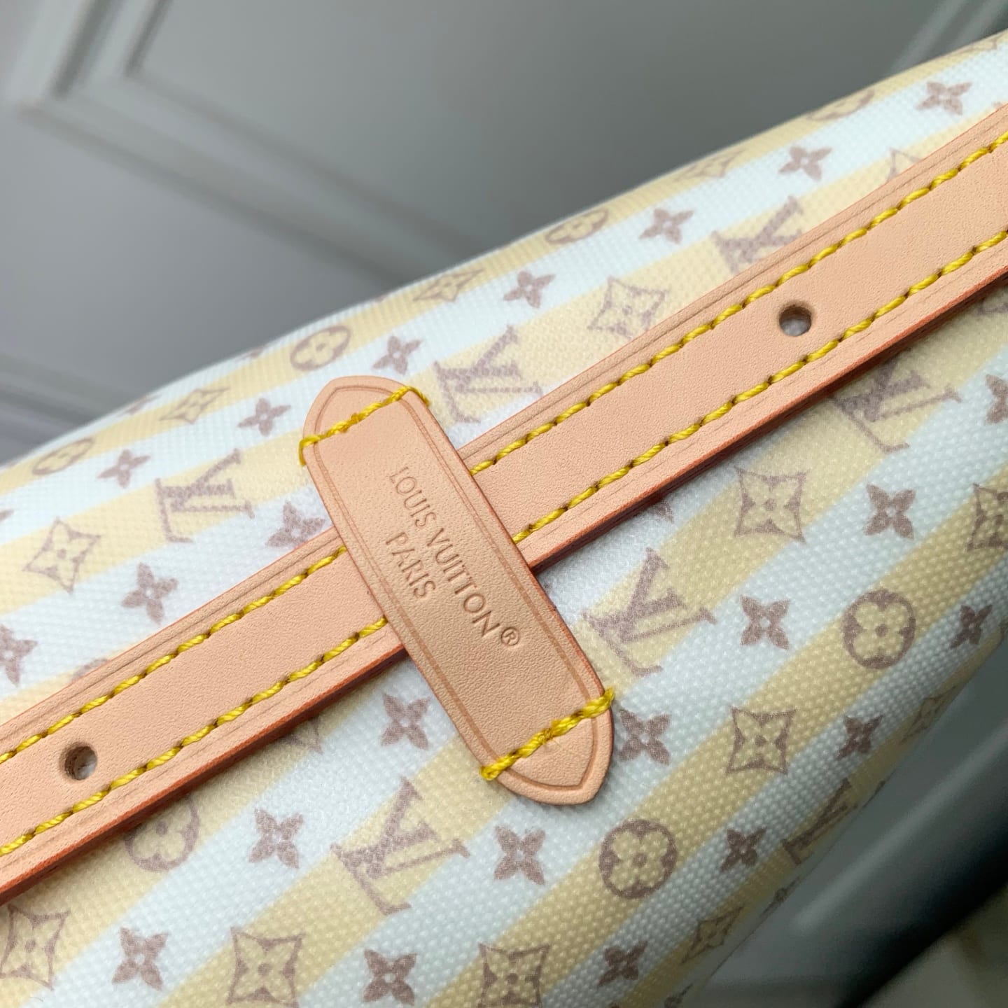 Carryall East West detail 8