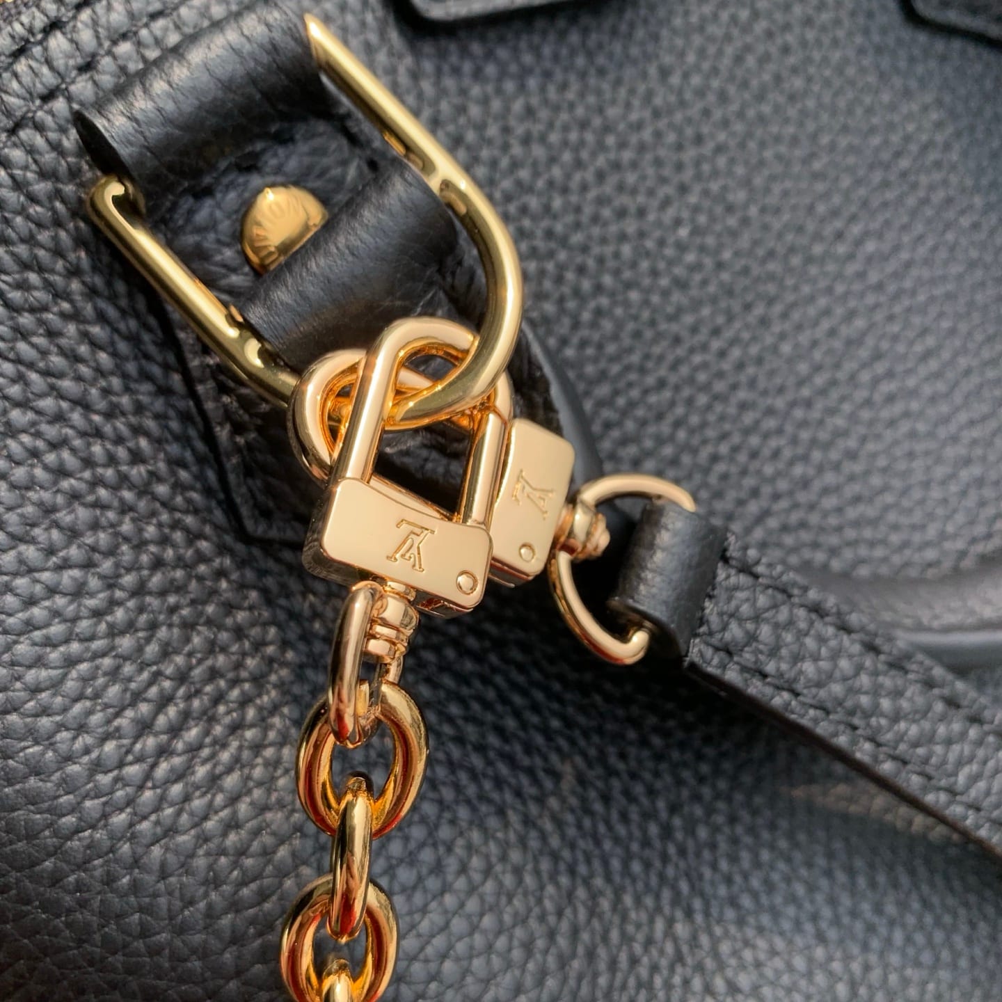 Alma Trunk BB detail 6