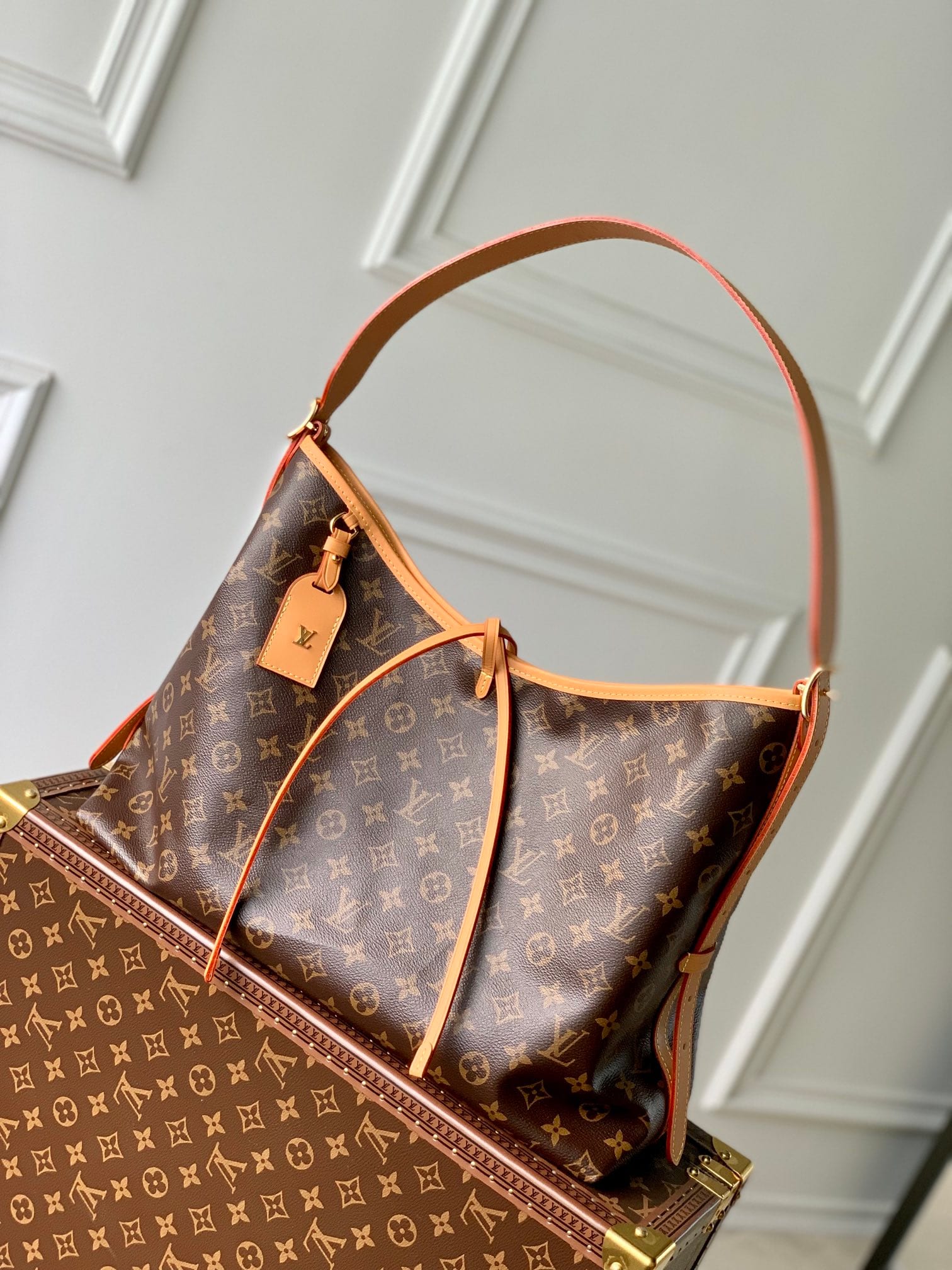 CarryAll MM detail 9
