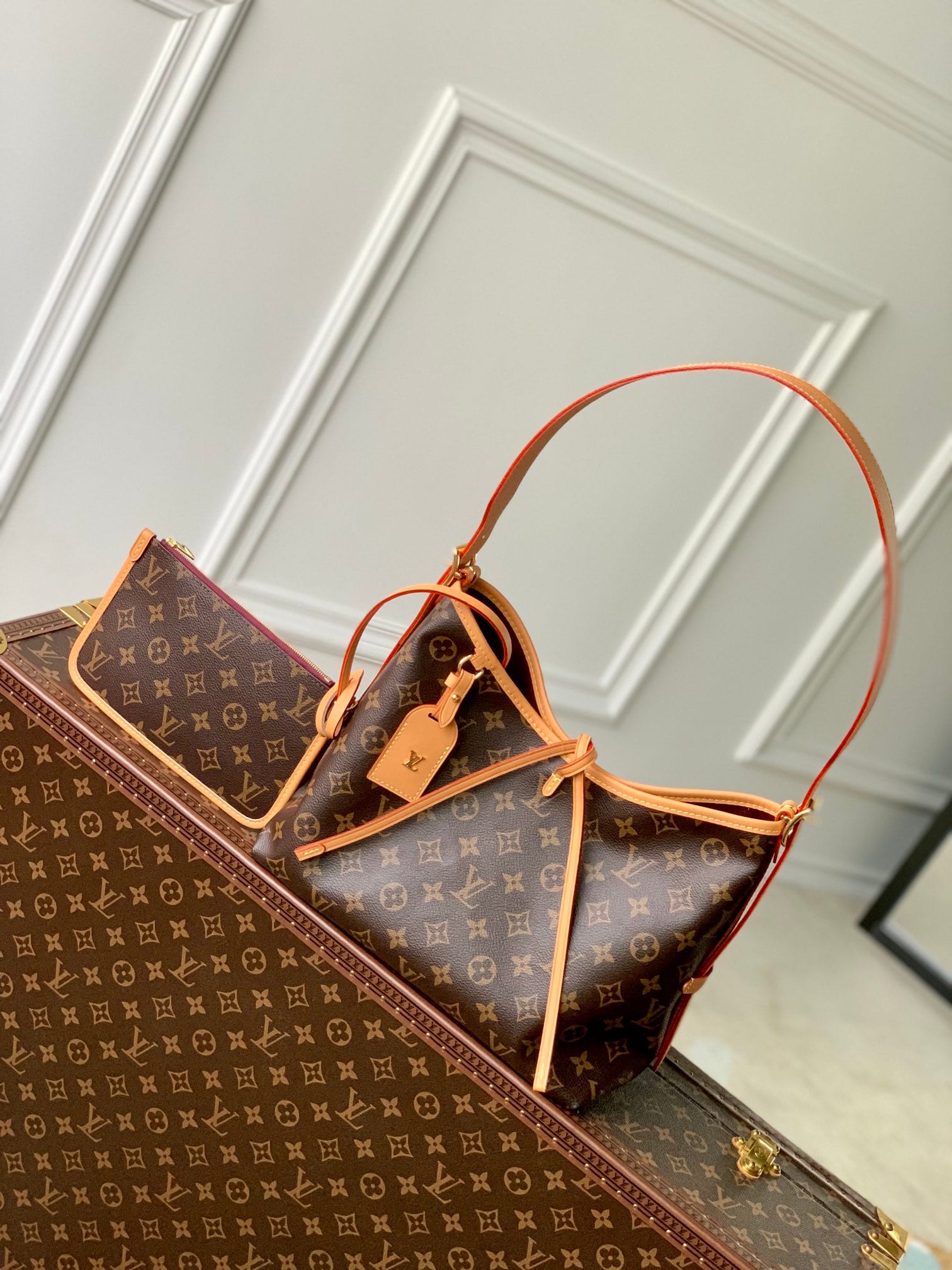 CarryAll PM detail 1