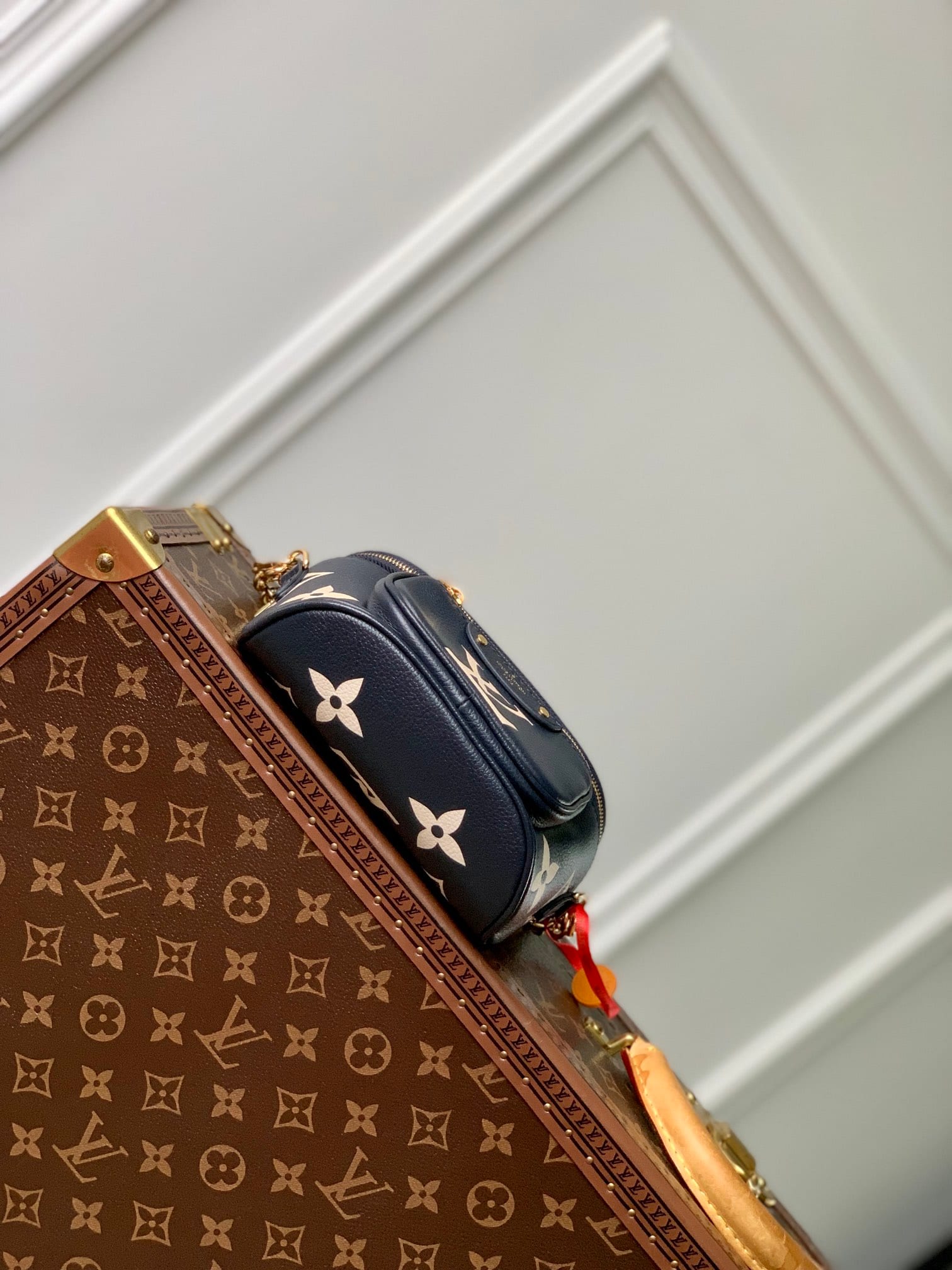 Mini Bumbag detail 4