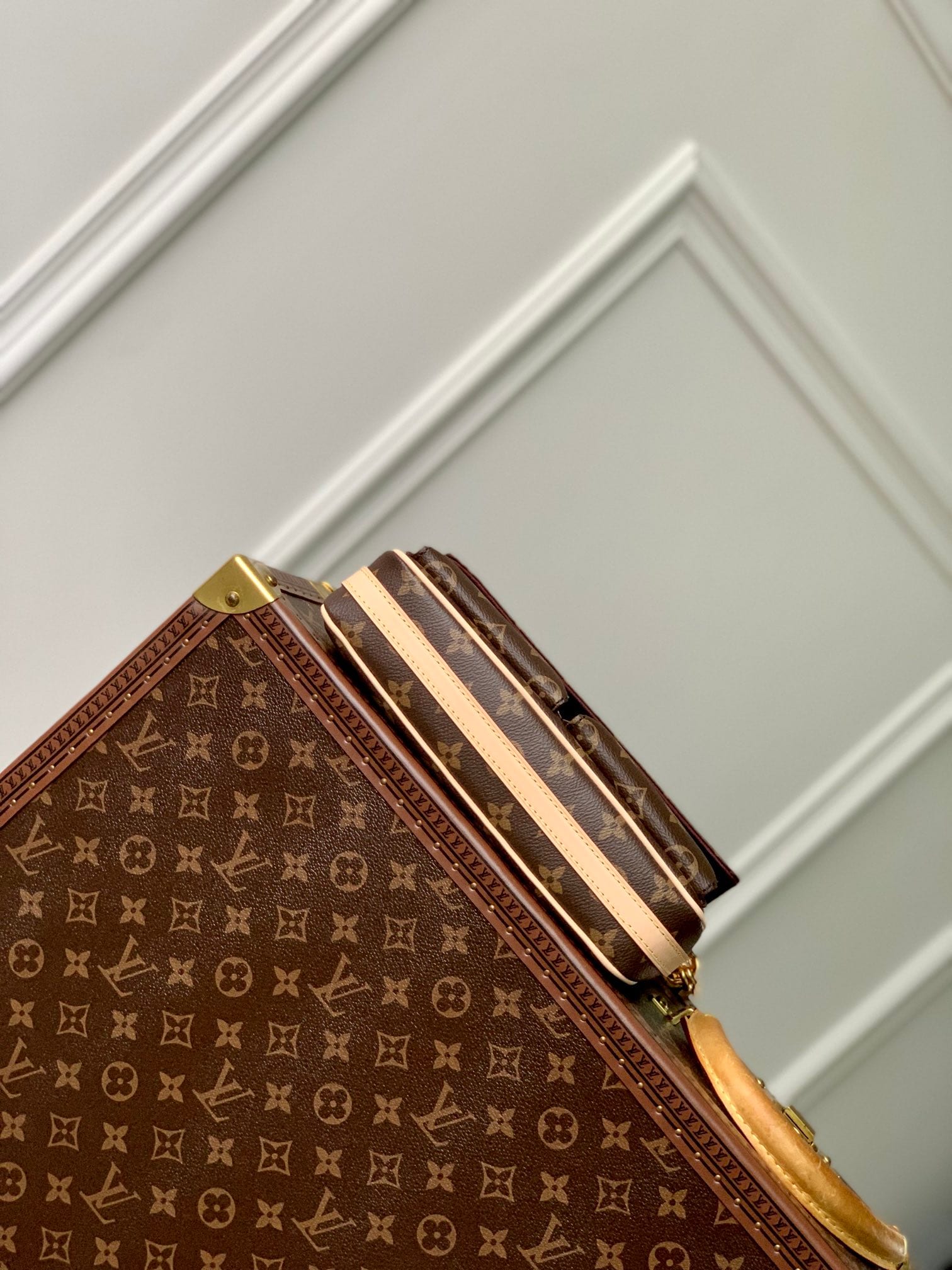 Vivacité detail 4