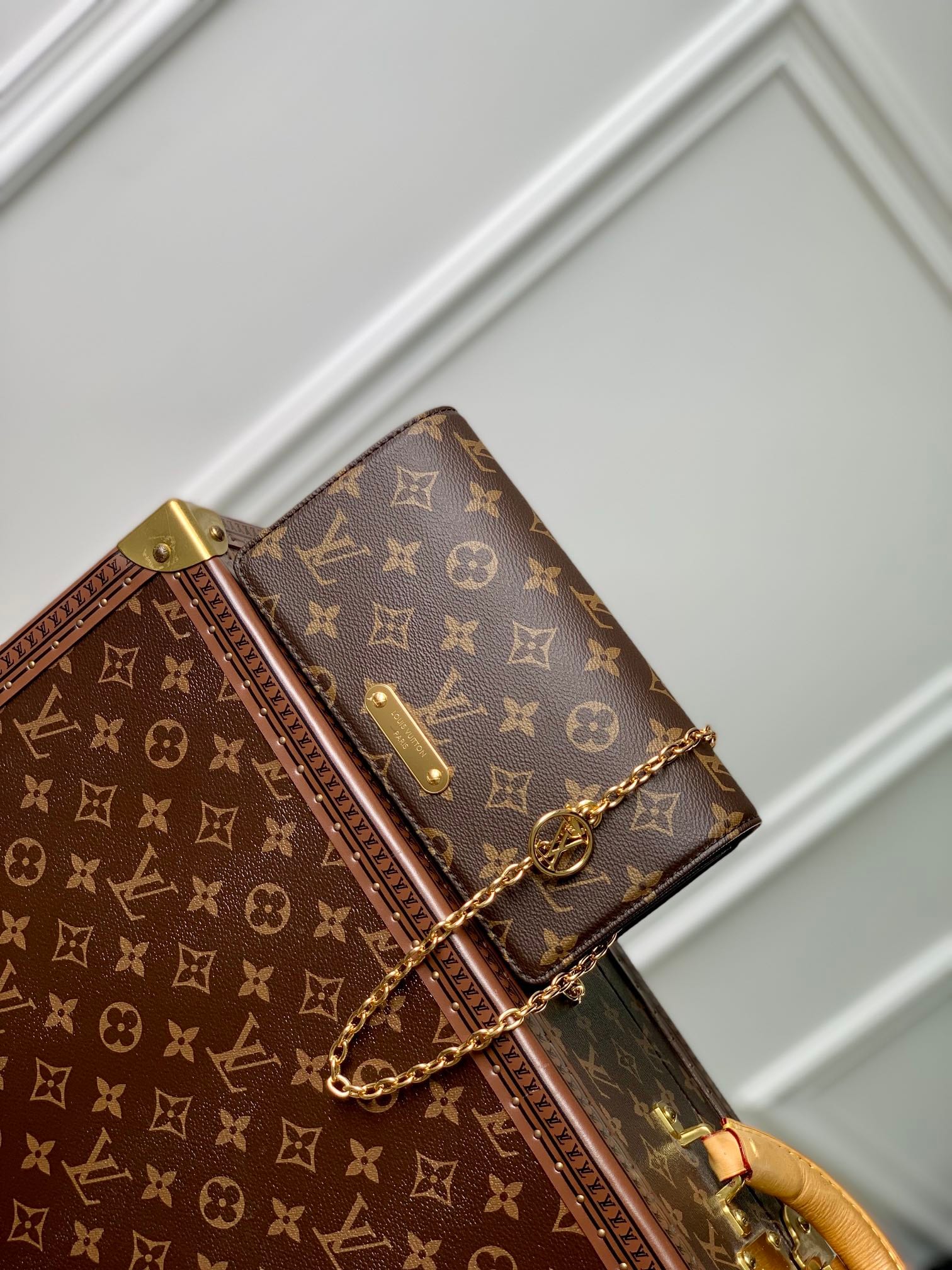 Wallet On Chain Lily detail 1