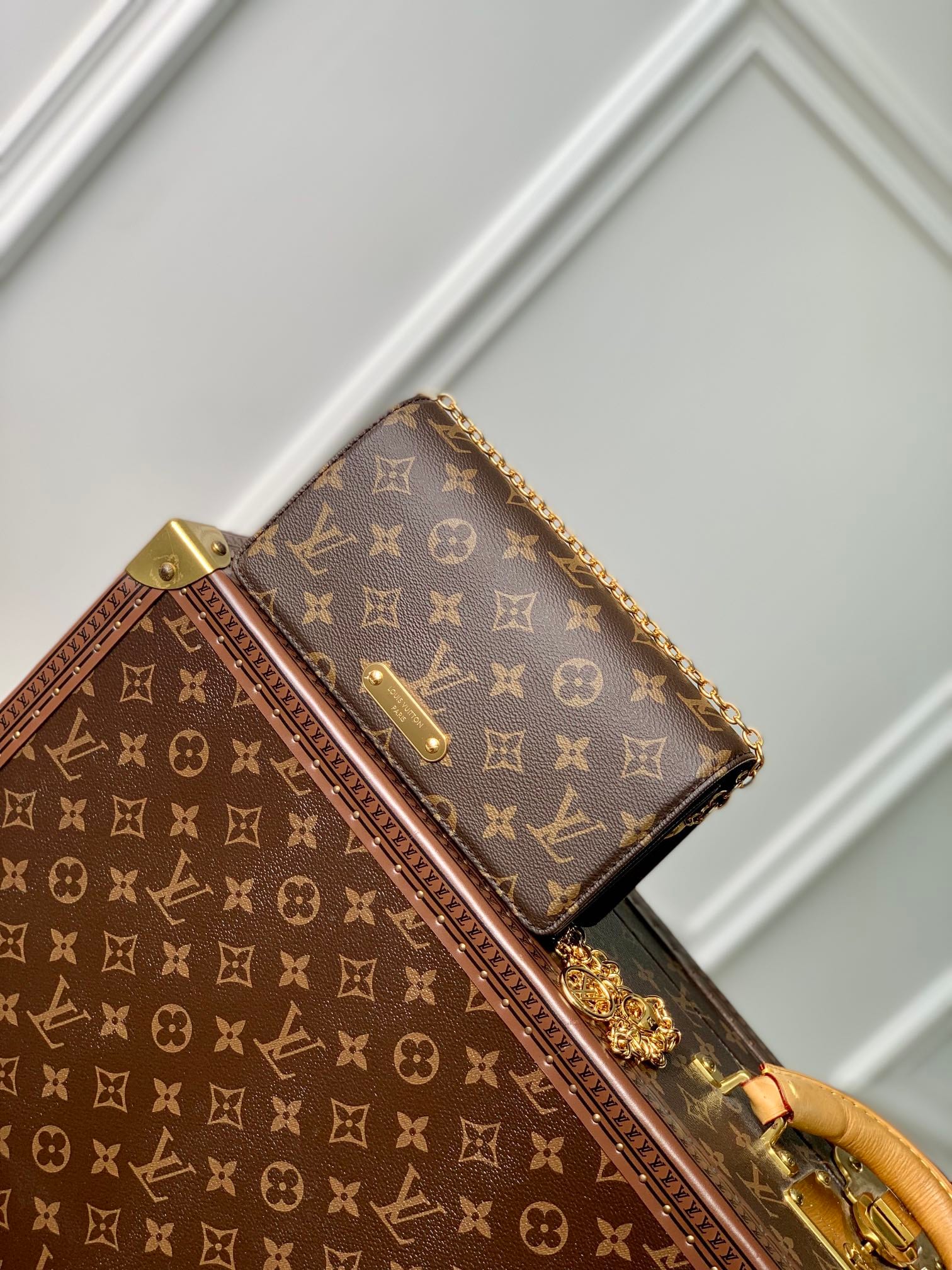Wallet On Chain Lily detail 2